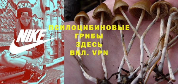 spice Балахна