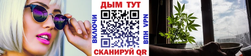 купить закладку  Светогорск  Каннабис гибрид 
